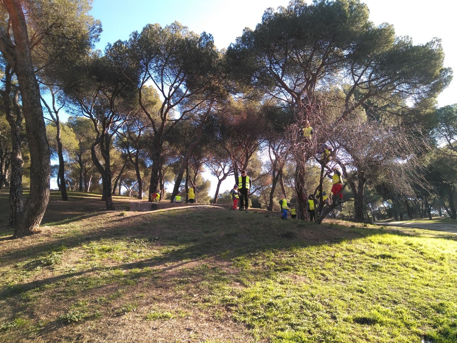 ¡Volvemos a la Dehesa!