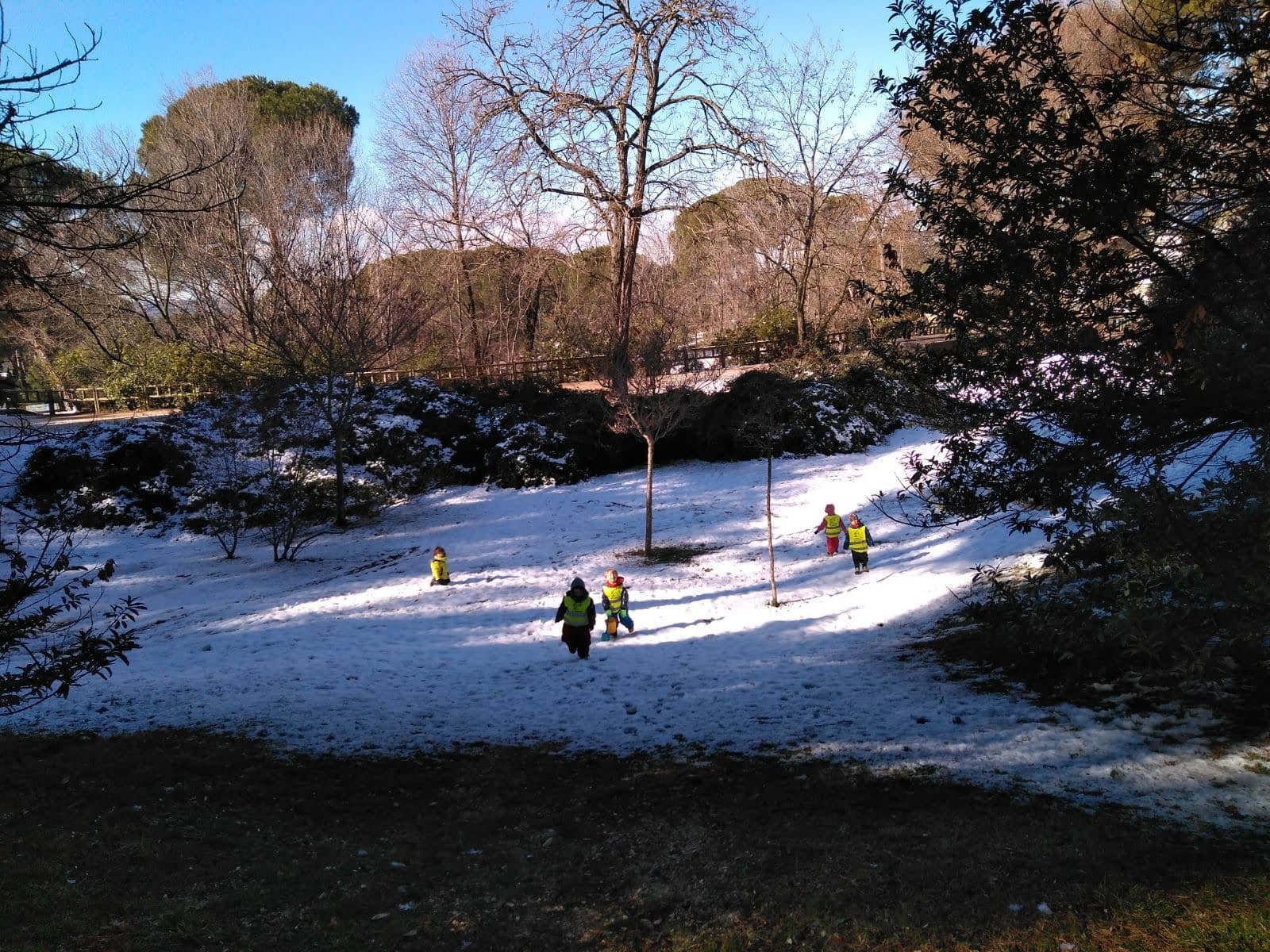 Un día de invierno en la Dehesa