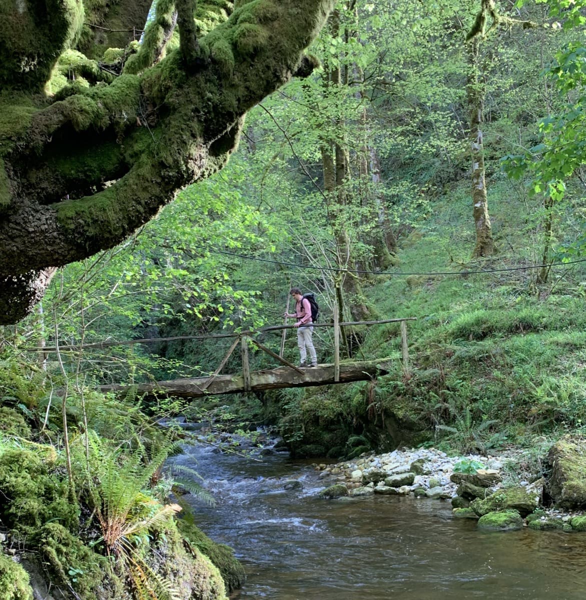 Niños en puente de madera en el bosque durante campamento
