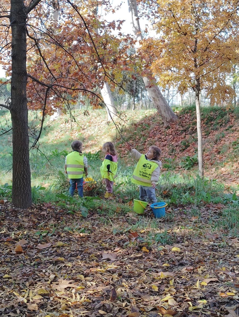 Niños en la naturaleza recogiendo materiales