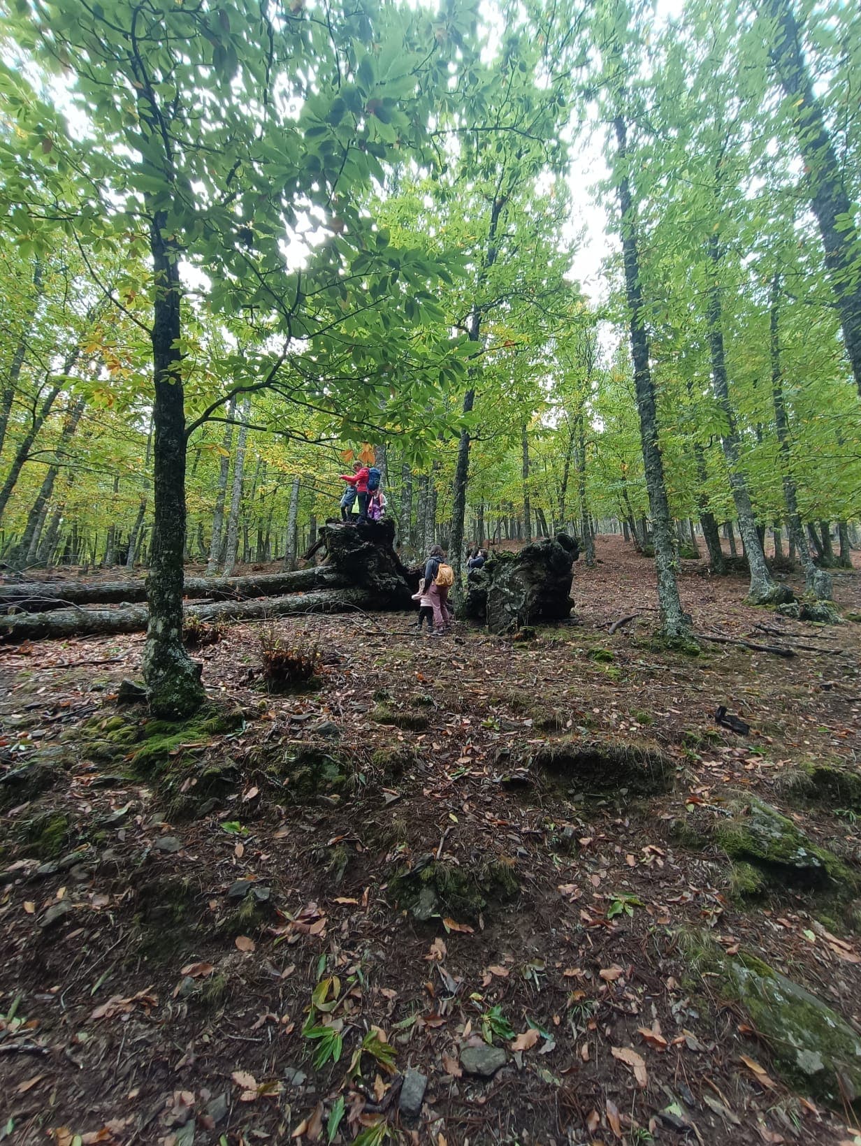 Familia disfrutando de una excursión en la naturaleza