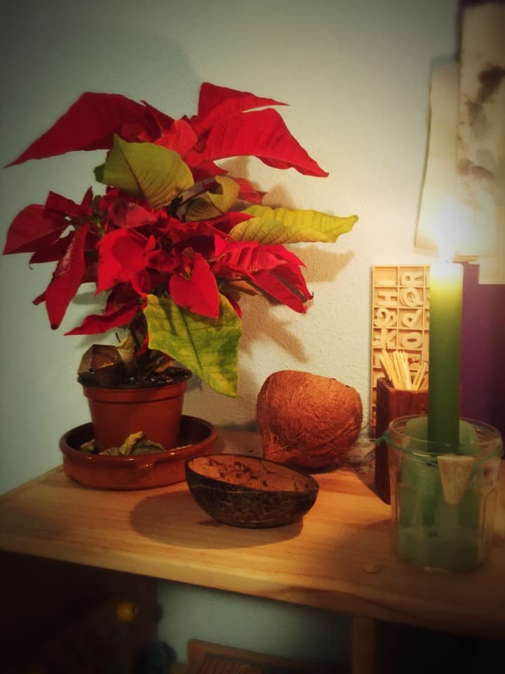 Enero 2017 en la Casita de la Dehesa